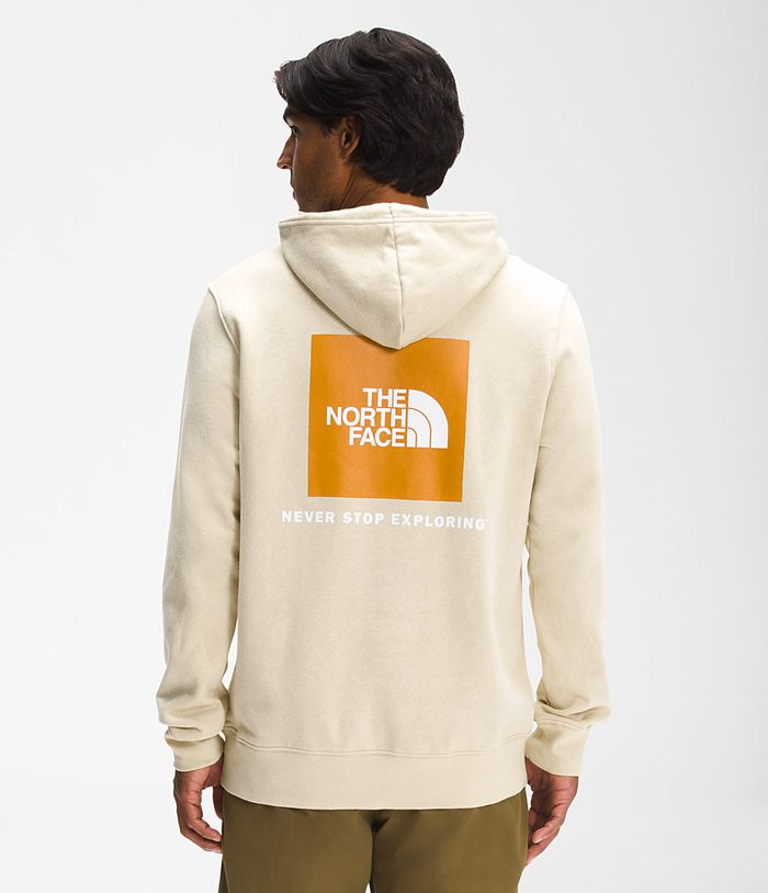 The North Face Hoodie Heren Box Nse Pullover ANYG15743 - Beige